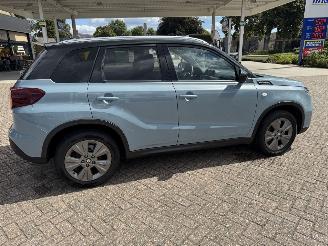 Suzuki Vitara 1.4 Boosterjet Smart Hybrid picture 15