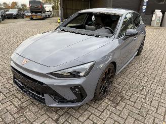 Cupra Leon VZ 300 Pk Face Lift picture 27