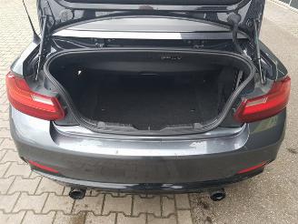 BMW 2-serie Cabrio M235i High Executive picture 25