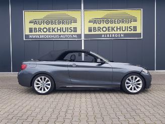 BMW 2-serie Cabrio M235i High Executive picture 4