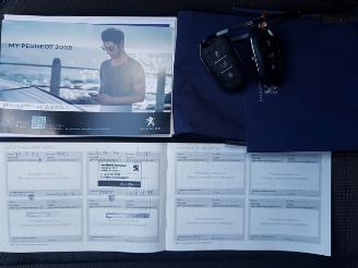 Peugeot e-2008 EV Allure Pack 50 kWh picture 27