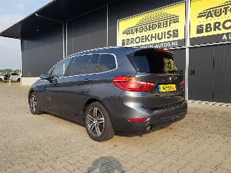 BMW 2-serie Gran Tourer 218i Centennial High Executive picture 7