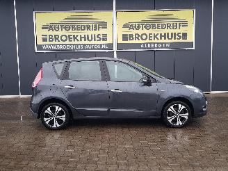 Renault Scenic 2.0 Bose Automatic picture 4