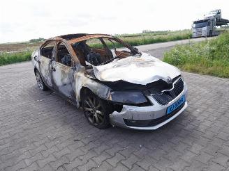 Skoda Octavia 1.6 TDi picture 4