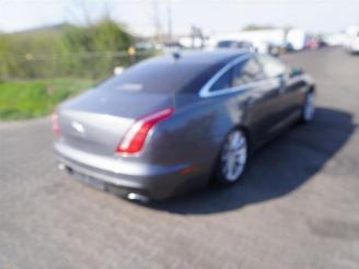 Coche siniestrado Jaguar XJ 3.0 D 2016/1