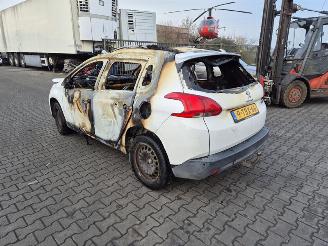 Peugeot 2008 1.2 12v picture 2