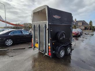 skadebil aanhanger -  Thiel Pico 2013/9