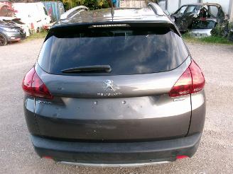 Peugeot 2008 1.2 Crossway picture 20