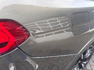 BMW X7 xDrive40d 3.0 24V Mild Hybrid SUV  Elektrisch Diesel 2.993cc 250kW (340pk) 4x4 picture 30