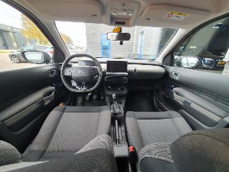 Citroën C4 cactus 1.6 BlueHDi Business picture 15