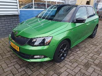  Skoda Fabia 1.0 TSI Clever 2018/5