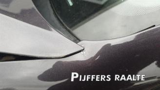 Volkswagen Polo Polo V (6R), Hatchback, 2009 / 2017 1.2 TSI 16V BlueMotion Technology picture 17