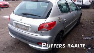 Peugeot 206 206+ (2L/M), Hatchback, 2009 / 2013 1.4 XS picture 8
