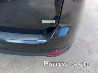 Ford Grand C-Max Grand C-Max (DXA), MPV, 2010 / 2019 1.0 Ti-VCT EcoBoost 12V 125 picture 24