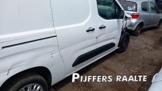 Opel Combo Combo Cargo, Van, 2018 1.5 CDTI 100 picture 6