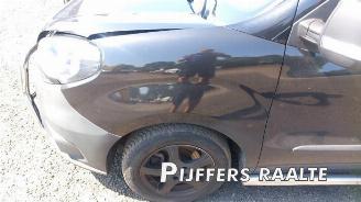 Fiat Doblo Doblo Cargo (263), Van, 2010 1.6 D Multijet picture 7