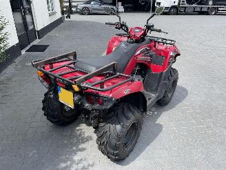 Kawasaki KVF 300  picture 3