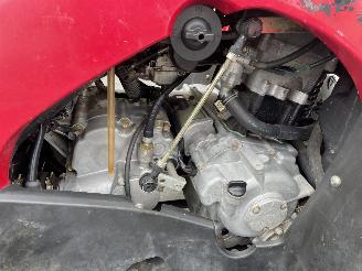 Kawasaki KVF 300  picture 8