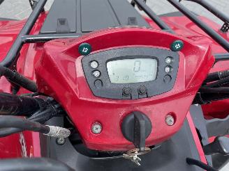 Kawasaki KVF 300  picture 6