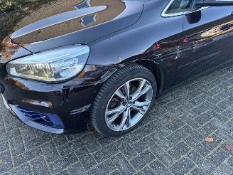 BMW 2-serie 218i 7-Pers Pano 136pk picture 8