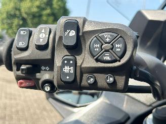 Triumph Trophy 1200 ABS picture 15