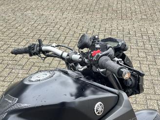 Yamaha MT-09 ABS picture 14