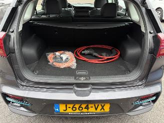 Kia Niro DynamicLine 64 kWh  SUV 5-dr. 14008 EURO EX BTW picture 11