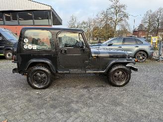 Jeep Wrangler 2.5i Hardtop (Terreinwagen 2-dr.) picture 6