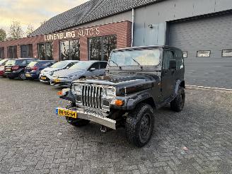 Unfallwagen Jeep Wrangler 2.5i Hardtop (Terreinwagen 2-dr.) 1992/10