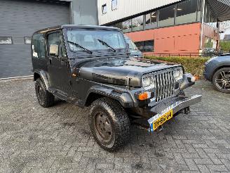 Jeep Wrangler 2.5i Hardtop (Terreinwagen 2-dr.) picture 7
