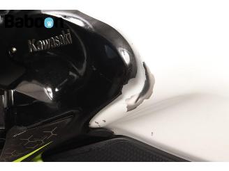 Kawasaki Z 900 ABS picture 21