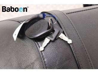 Harley-Davidson XL 883 N Sportster Iron picture 23