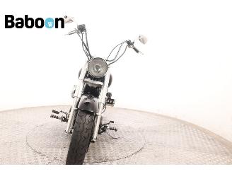 Honda VT 750 C2 Shadow ACE picture 3