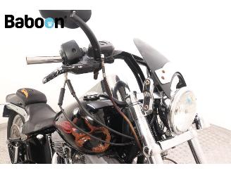 Harley-Davidson  FXSTC Softail Custom picture 9