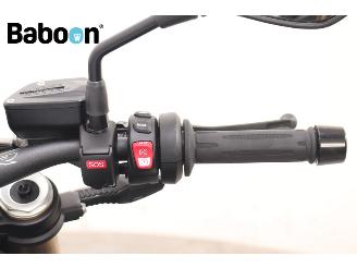 BMW S 1000 R ABS picture 16