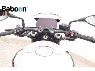 BMW S 1000 R ABS picture 14