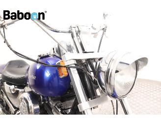 Harley-Davidson XL 1200 C Sportster Custom picture 9