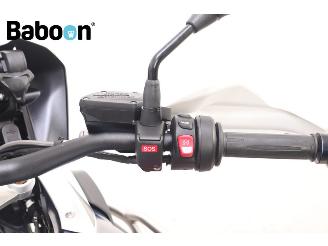 BMW R 1250 GS Trophy picture 13