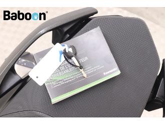 Kawasaki  Ninja 1000 SX ABS picture 28