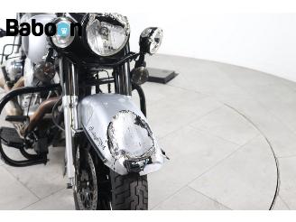 Harley-Davidson  FLSTF Fat Boy picture 8