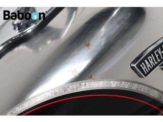 Harley-Davidson  FXSBSE CVO BREAKOUT ABS picture 17