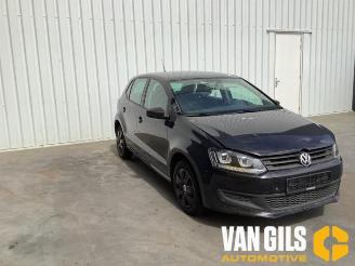 Volkswagen Polo Polo V (6R), Hatchback, 2009 / 2017 1.2 12V BlueMotion Technology picture 3