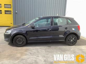 Volkswagen Polo Polo V (6R), Hatchback, 2009 / 2017 1.2 12V BlueMotion Technology picture 7