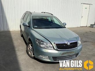 Skoda Octavia Octavia Combi (1Z5), Combi 5-drs, 2004 / 2013 2.0 TDI PDF picture 2