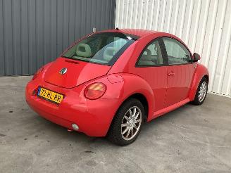 Volkswagen Beetle  picture 3