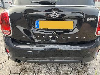 Mini Countryman 1.5 Chili picture 14