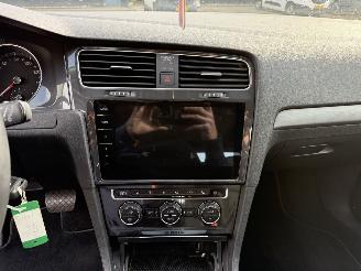 Volkswagen e-Golf 100 kw picture 16