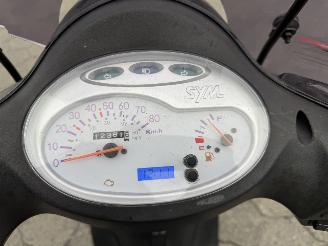 Sym Fiddle Snorscooter Fiddle II picture 5