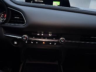 Mazda CX-30 2.0 e-SkyActiv-X M Hybrid Comfort picture 19