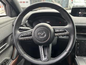 Mazda MX-30 e-SkyActiv 145 Comfort 36 kWh picture 13